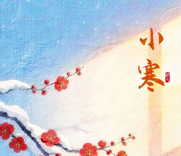 Xiaohan | Following the plum blossoms towards warmth, waiting patiently for the sound of spring