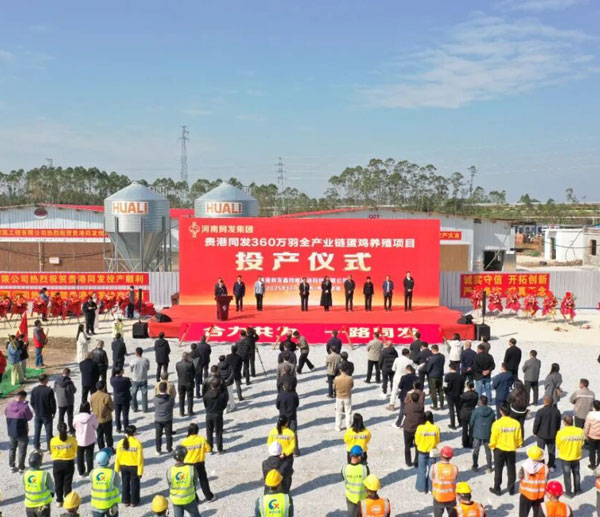 Huali Technology Empowers "Small Eggs, Big Livelihood"! Guigang Tongfa 3.6 Million-Bird Smart Breeding Base Officially Launches