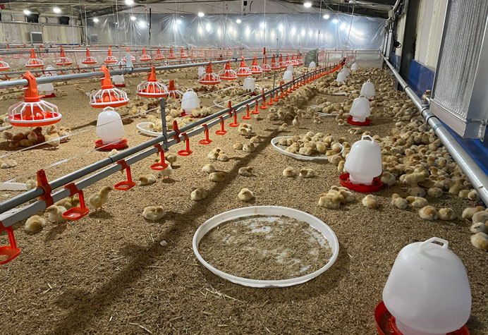 Broiler floor management