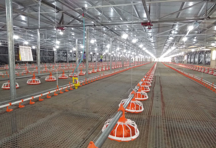 Broiler floor management