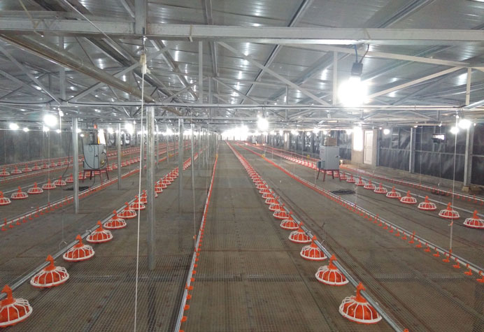 Broiler floor management