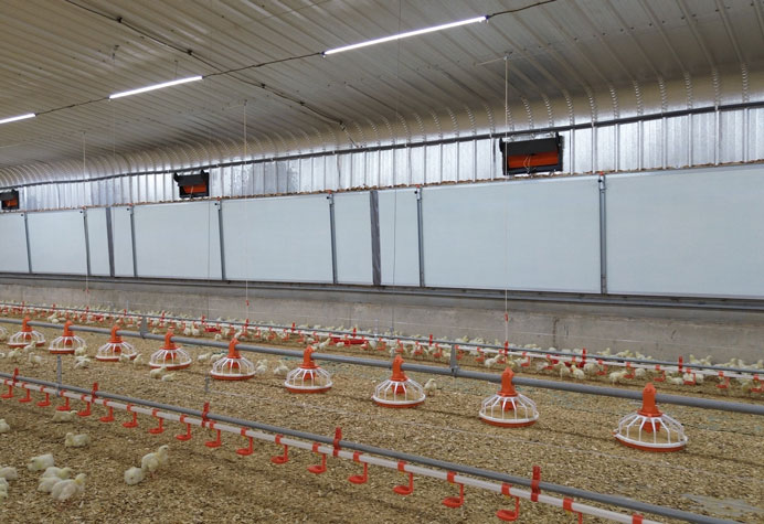 Broiler floor management