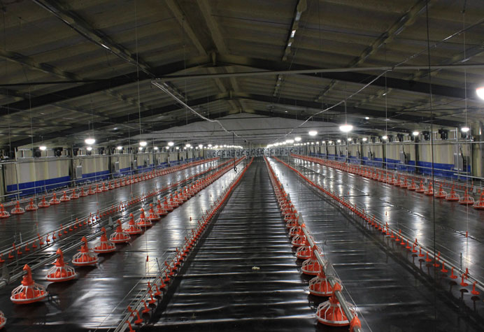 Broiler floor management
