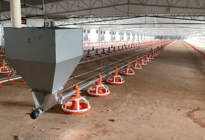 Broiler floor management