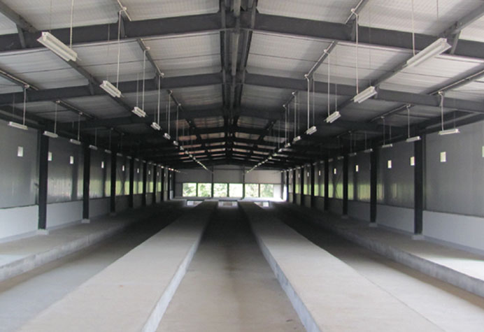 Steel Structure