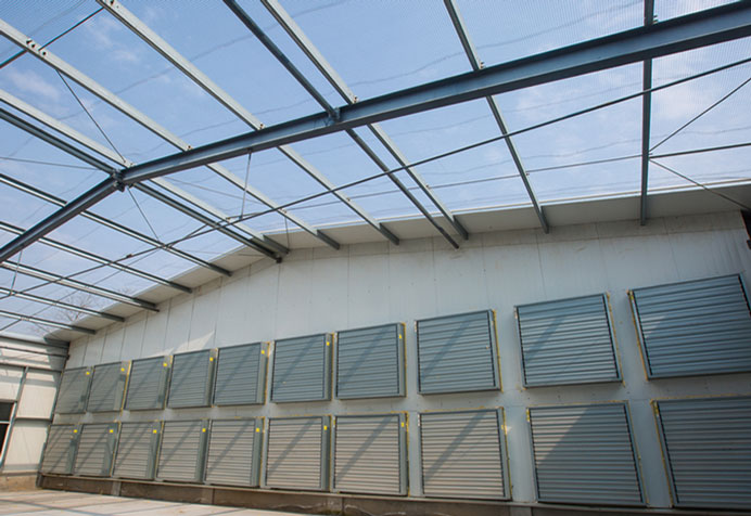 Steel Structure
