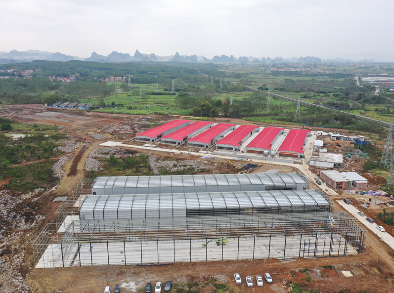 Guigang Tongfa 3.6 million-bird full-industry-chain layer breeding project