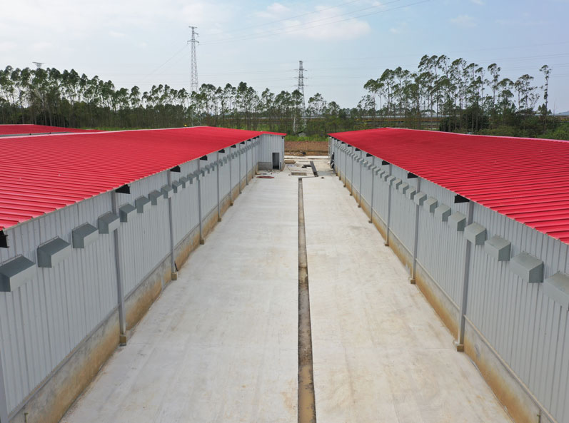 Guigang Tongfa 3.6 million-bird full-industry-chain layer breeding project