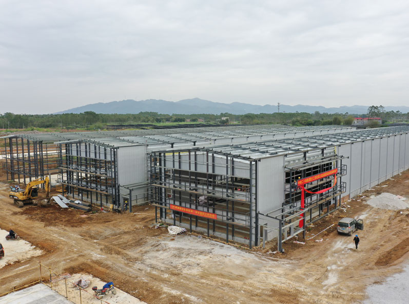 Guigang Tongfa 3.6 million-bird full-industry-chain layer breeding project