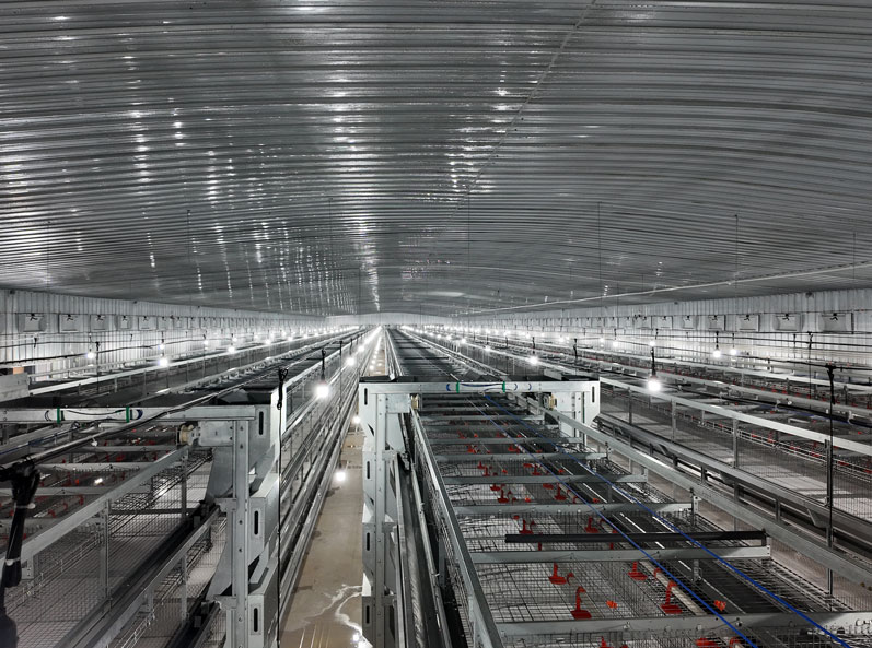 Guigang Tongfa 3.6 million-bird full-industry-chain layer breeding project