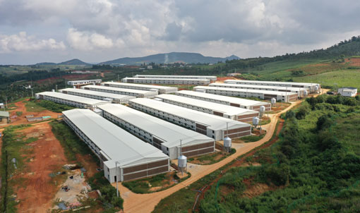 WENS Broiler Double-layer Floor Raising Project