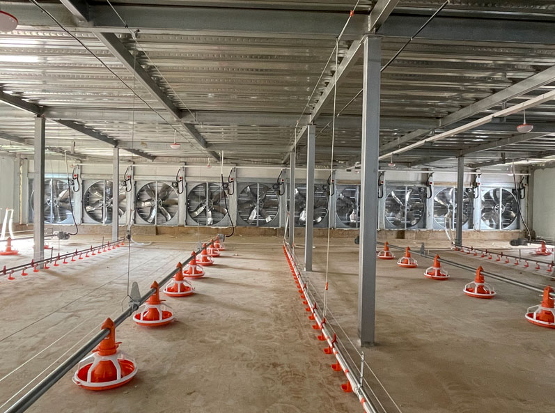 WENS Broiler Double-layer Floor Raising Project