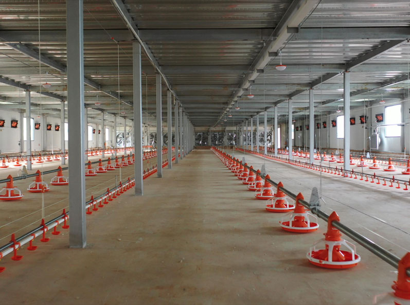 WENS Broiler Double-layer Floor Raising Project