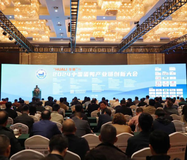 "Technology drives development, innovation shapes the future | Huali discusses the duck egg industry chain with you"