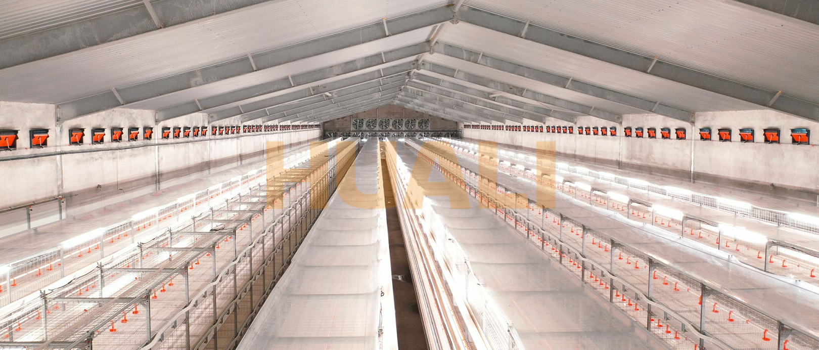 Shandong Broiler Cage Farming Project