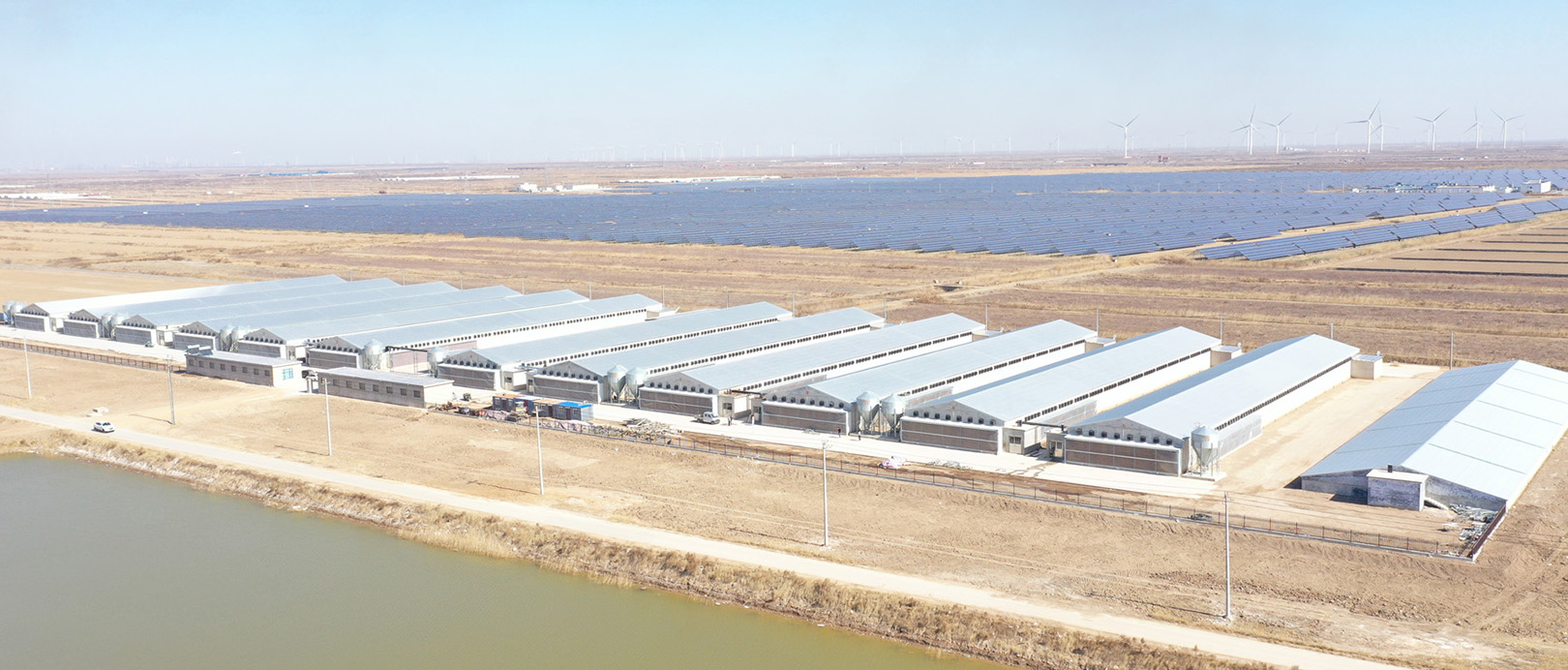 Shandong Broiler Cage Farming Project