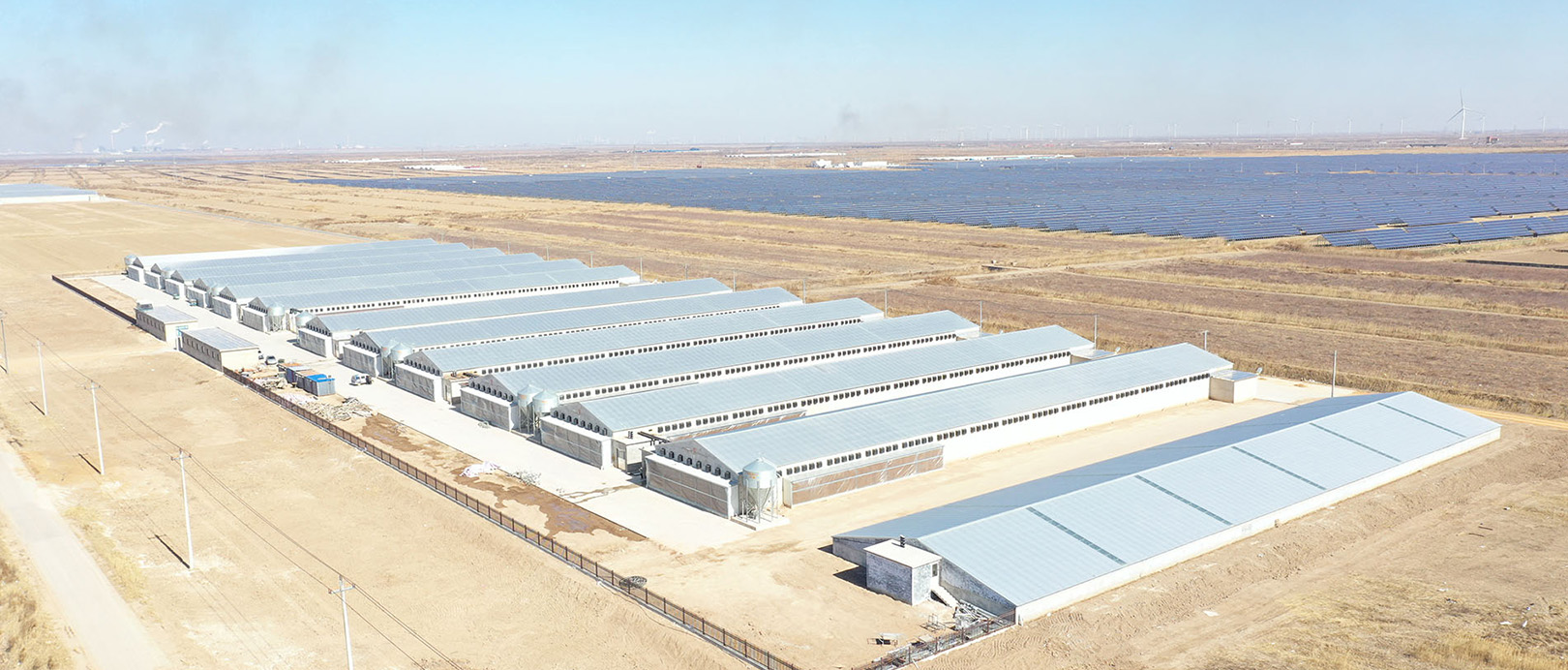 Shandong Broiler Cage Farming Project