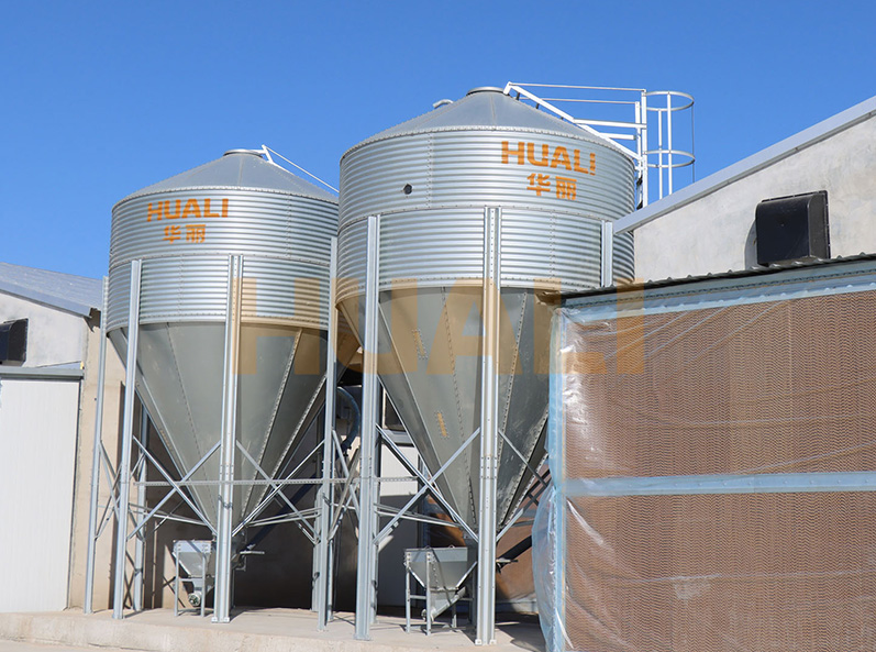 Shandong Broiler Cage Farming Project