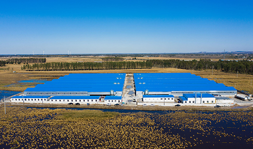 Fuxin Shuanghui Broiler Cage Farming Project