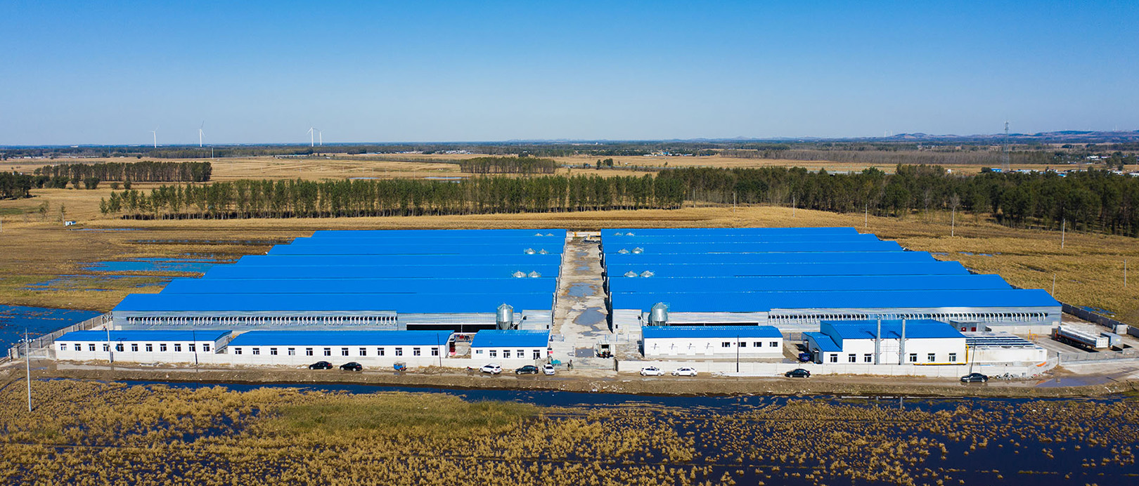 Fuxin Shuanghui Broiler Cage Farming Project