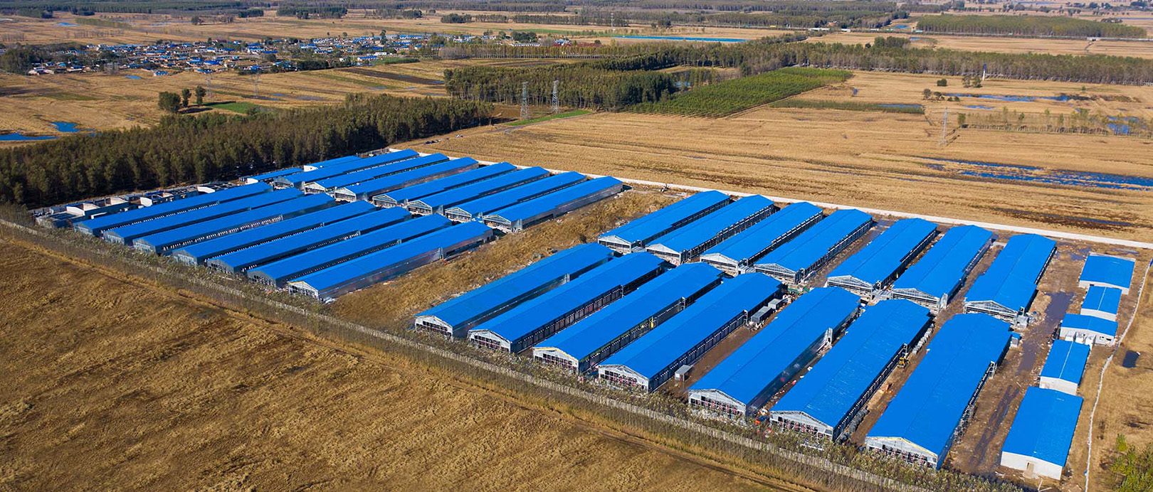 Fuxin Shuanghui Broiler Cage Farming Project