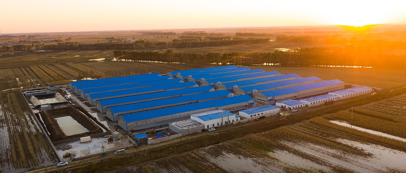 Fuxin Shuanghui Broiler Cage Farming Project