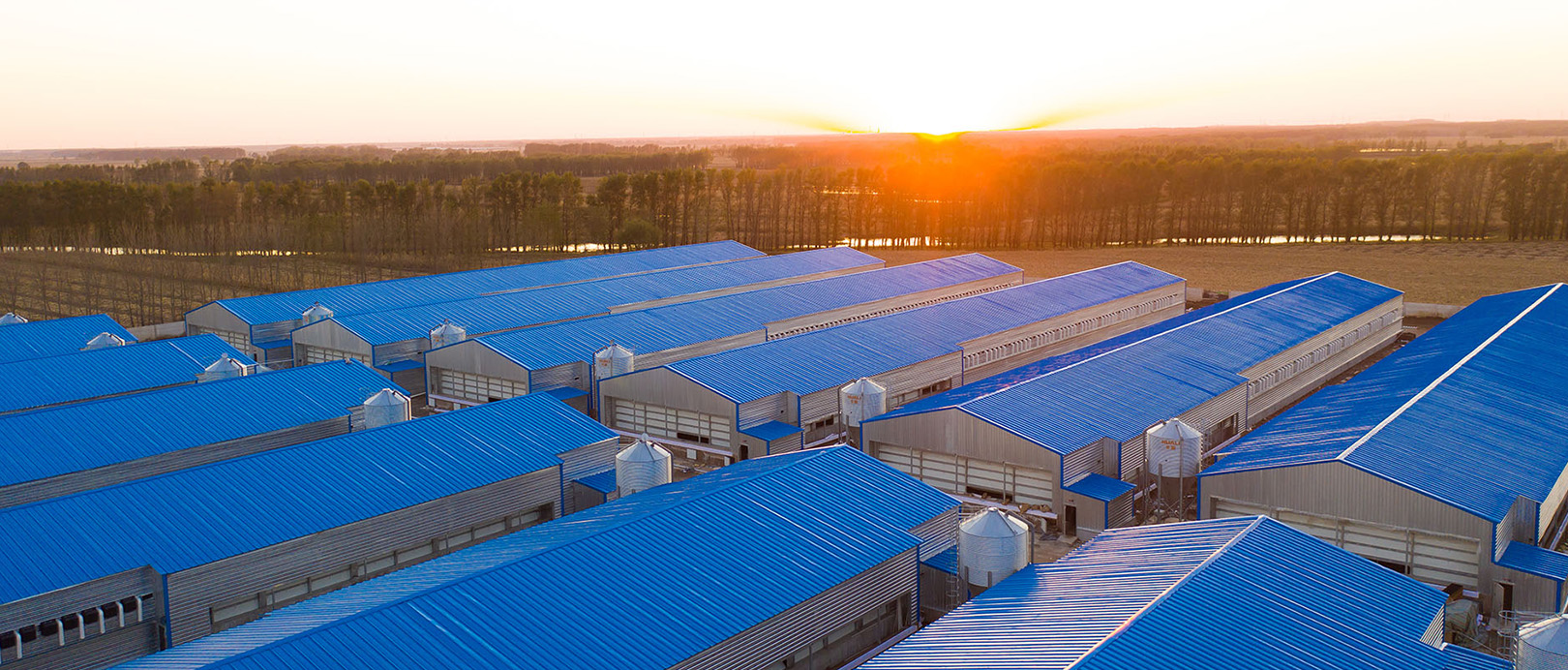 Fuxin Shuanghui Broiler Cage Farming Project