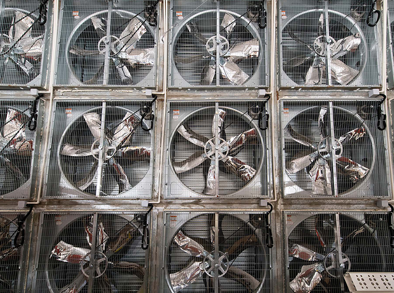 Fuxin Shuanghui Broiler Cage Farming Project