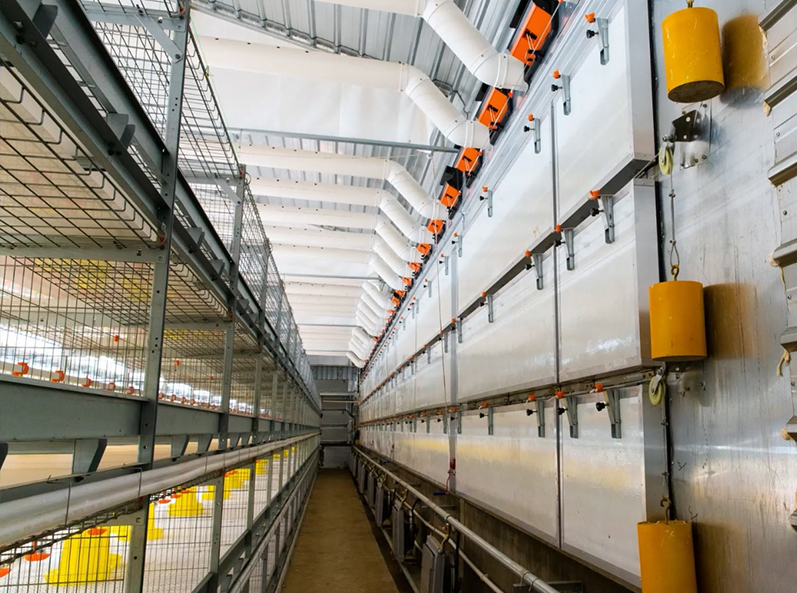 Fuxin Shuanghui Broiler Cage Farming Project