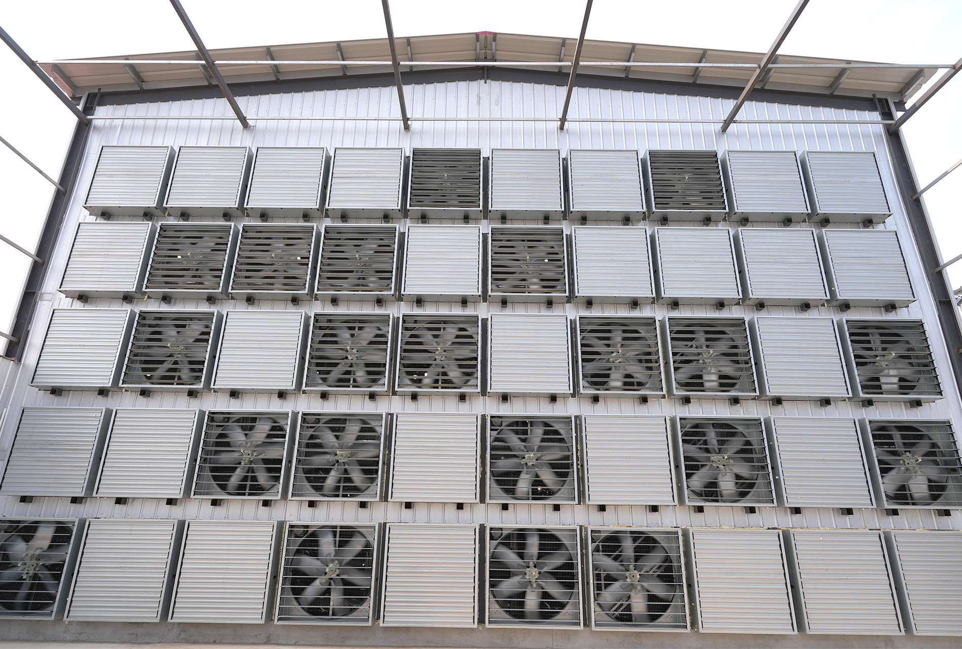 Guigang Tongfa 3.6 million-bird full-industry-chain layer farming project