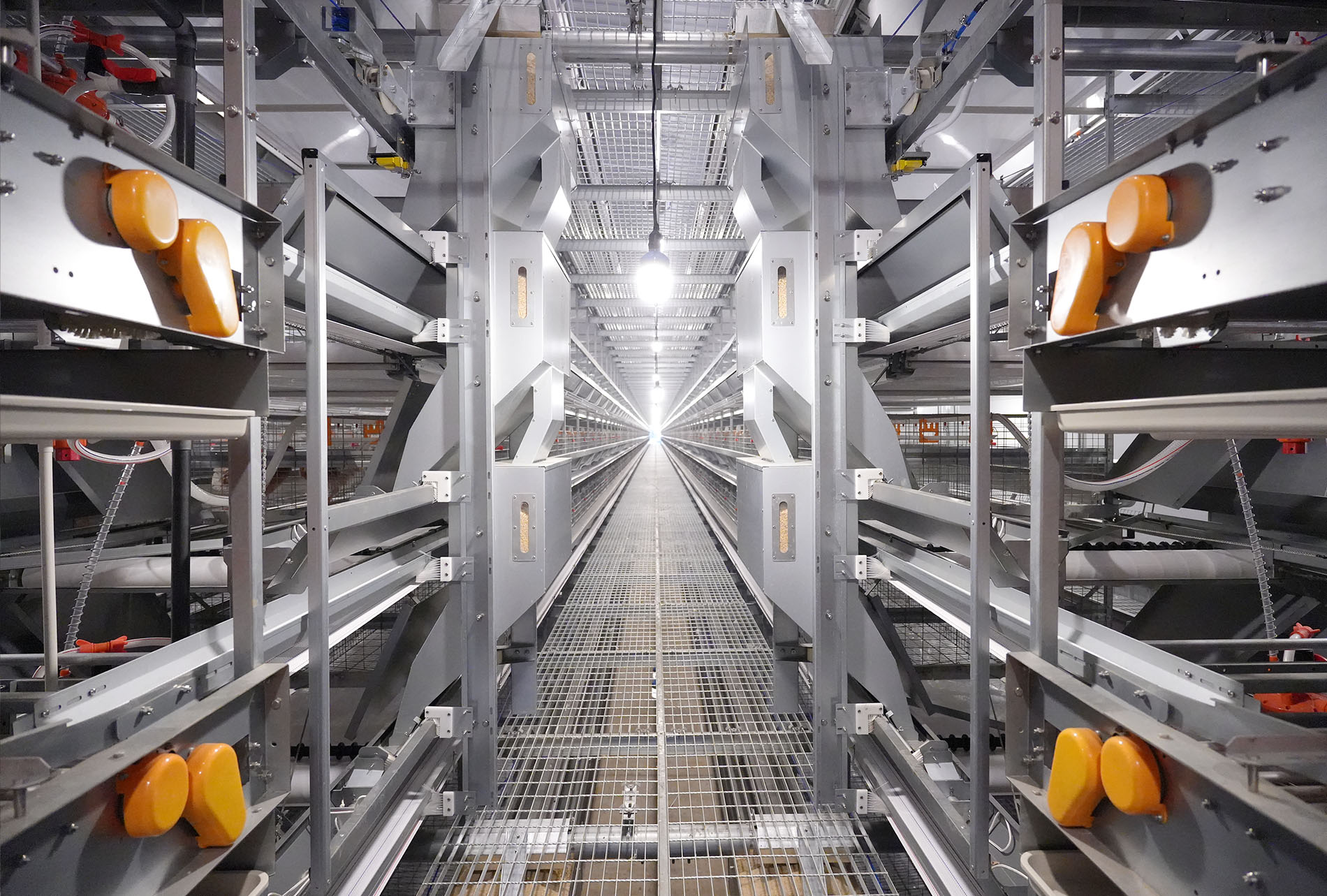 Guigang Tongfa 3.6 million-bird full-industry-chain layer farming project