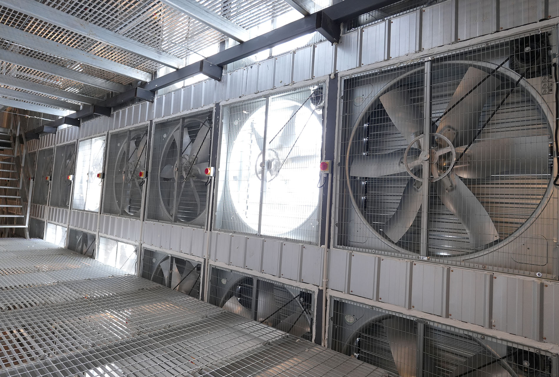 Guigang Tongfa 3.6 million-bird full-industry-chain layer farming project