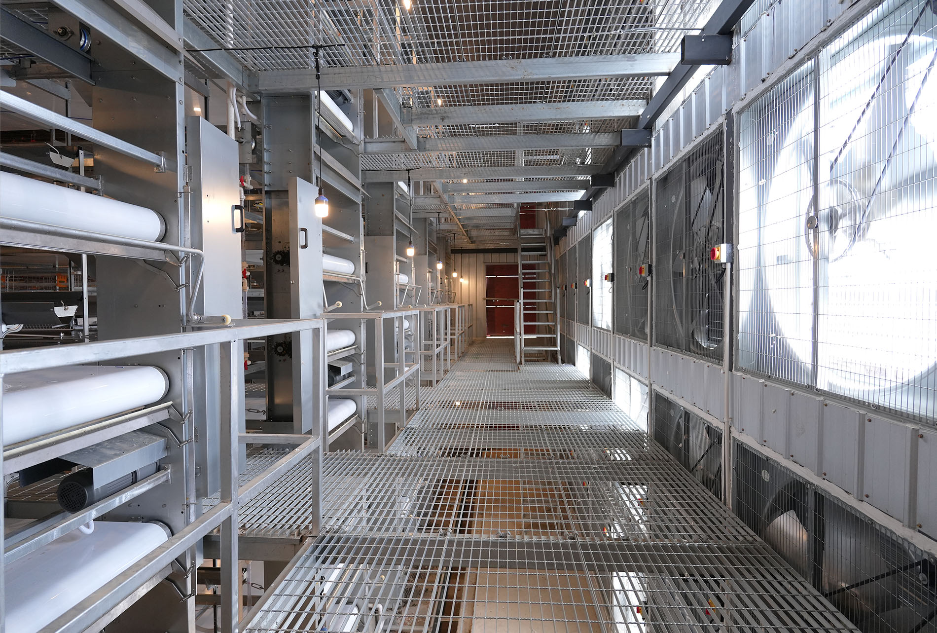 Guigang Tongfa 3.6 million-bird full-industry-chain layer farming project