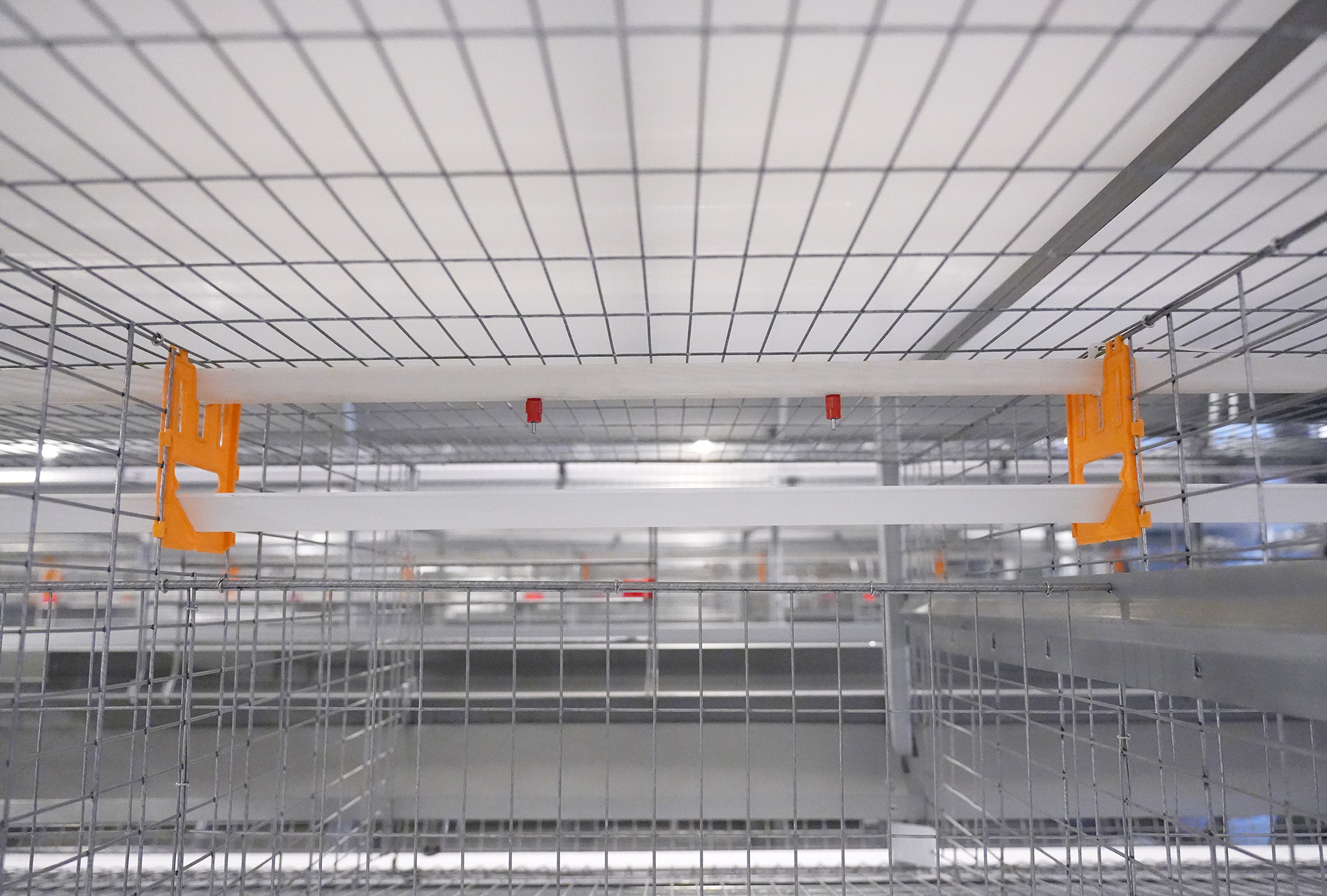Guigang Tongfa 3.6 million-bird full-industry-chain layer farming project