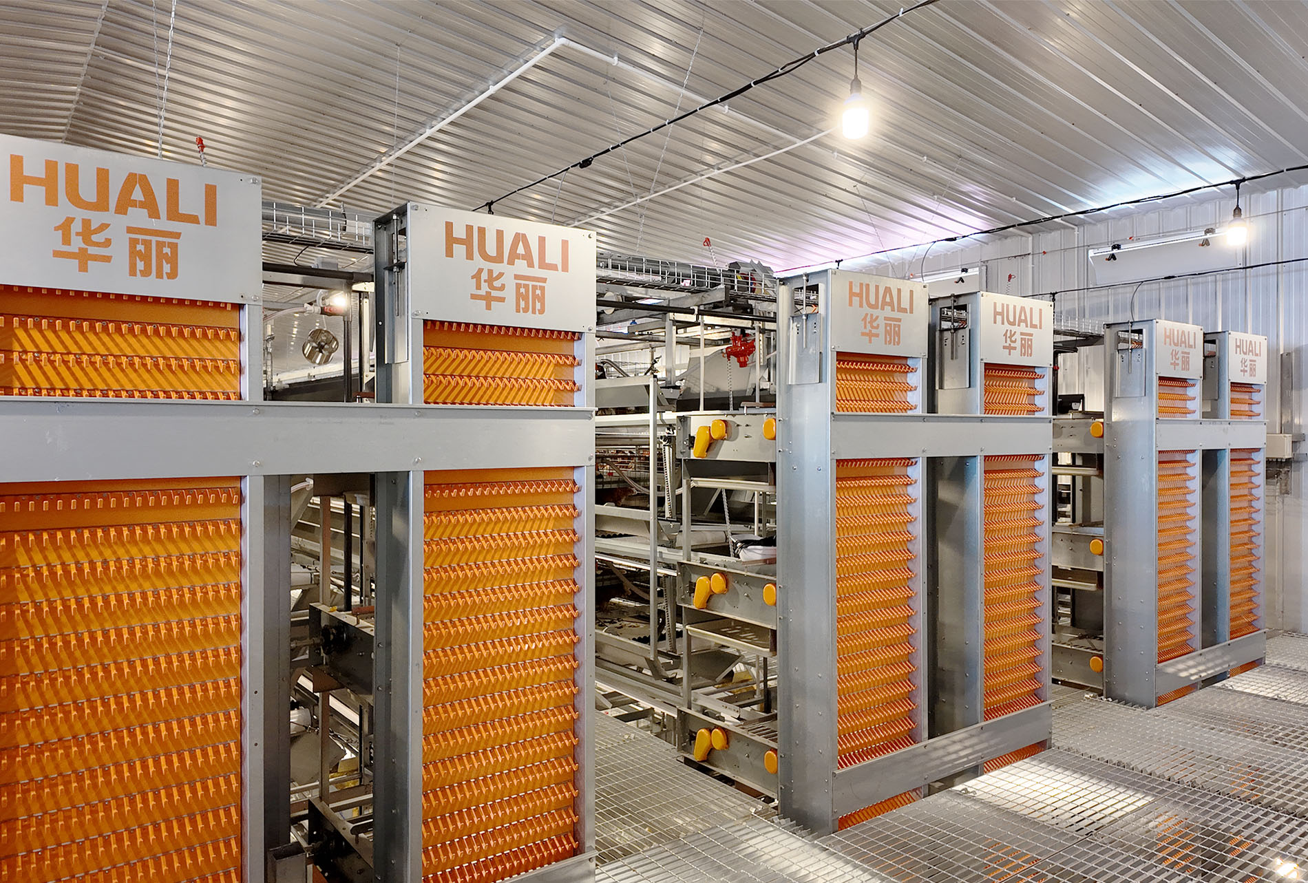 Guigang Tongfa 3.6 million-bird full-industry-chain layer farming project