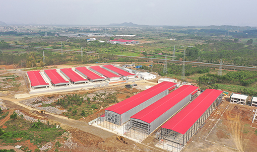 Guigang Tongfa 3.6 million-bird full-industry-chain layer farming project