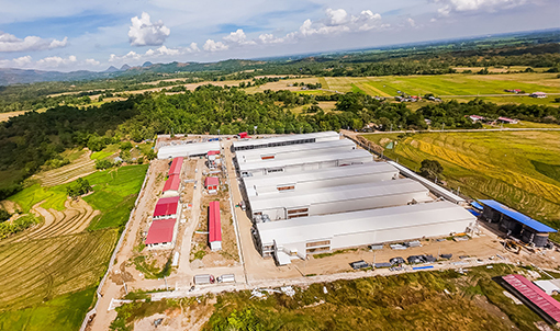 Philippine Layer Cage Farming Project