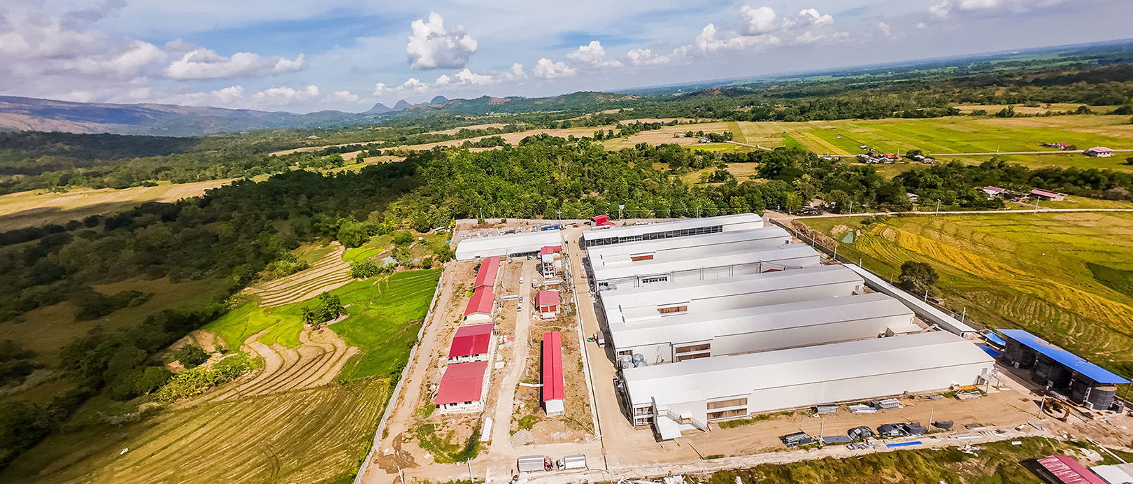 Philippine Layer Cage Farming Project