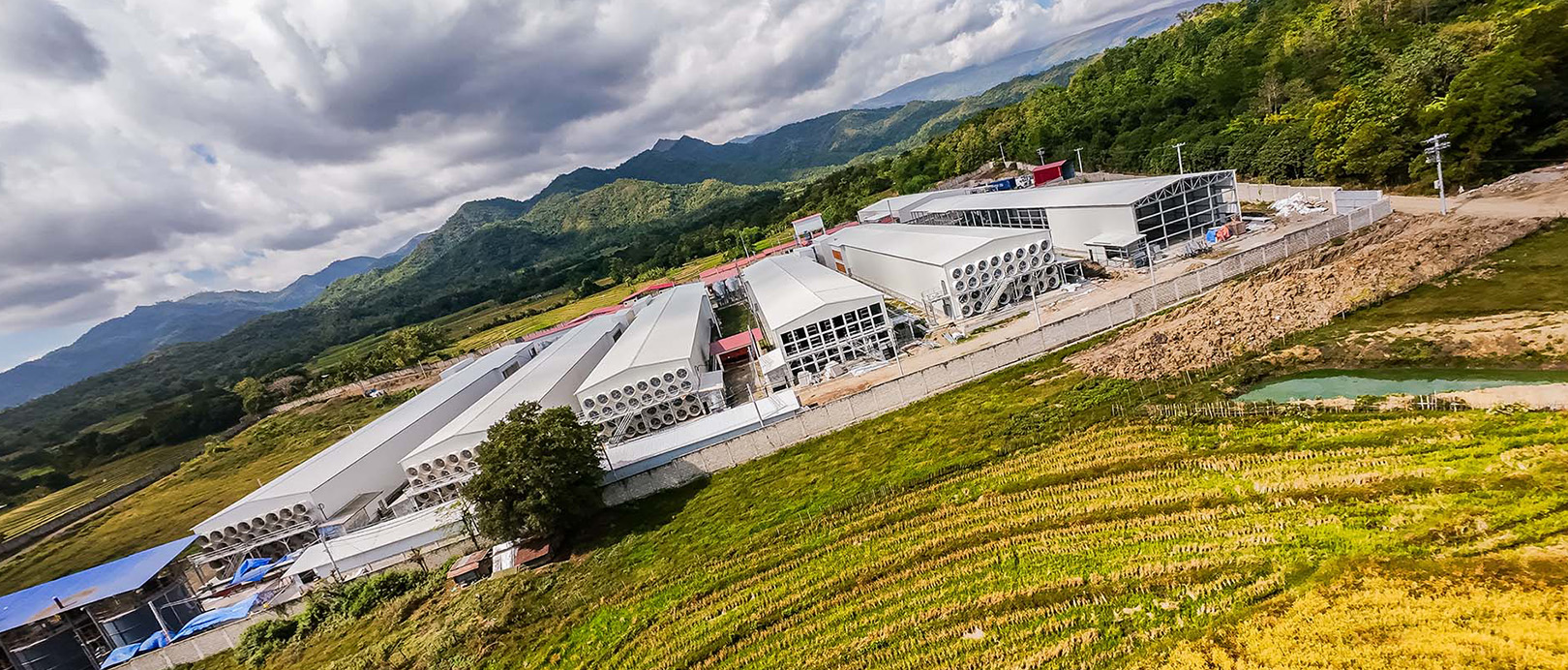 Philippine Layer Cage Farming Project