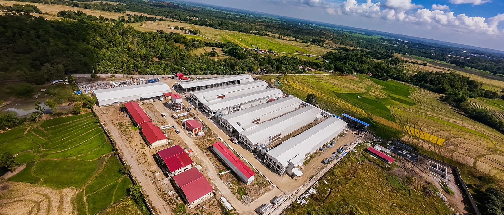 Philippine Layer Cage Farming Project