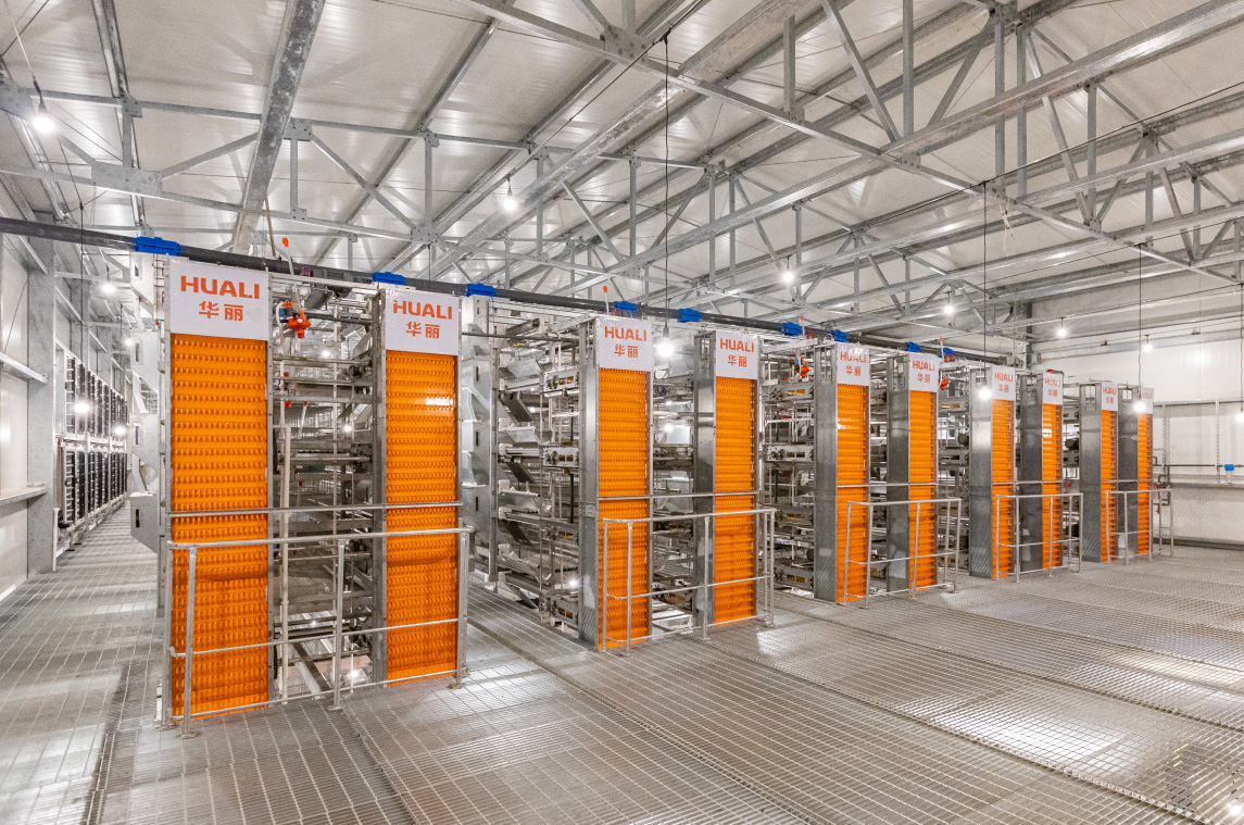 Philippine Layer Cage Farming Project