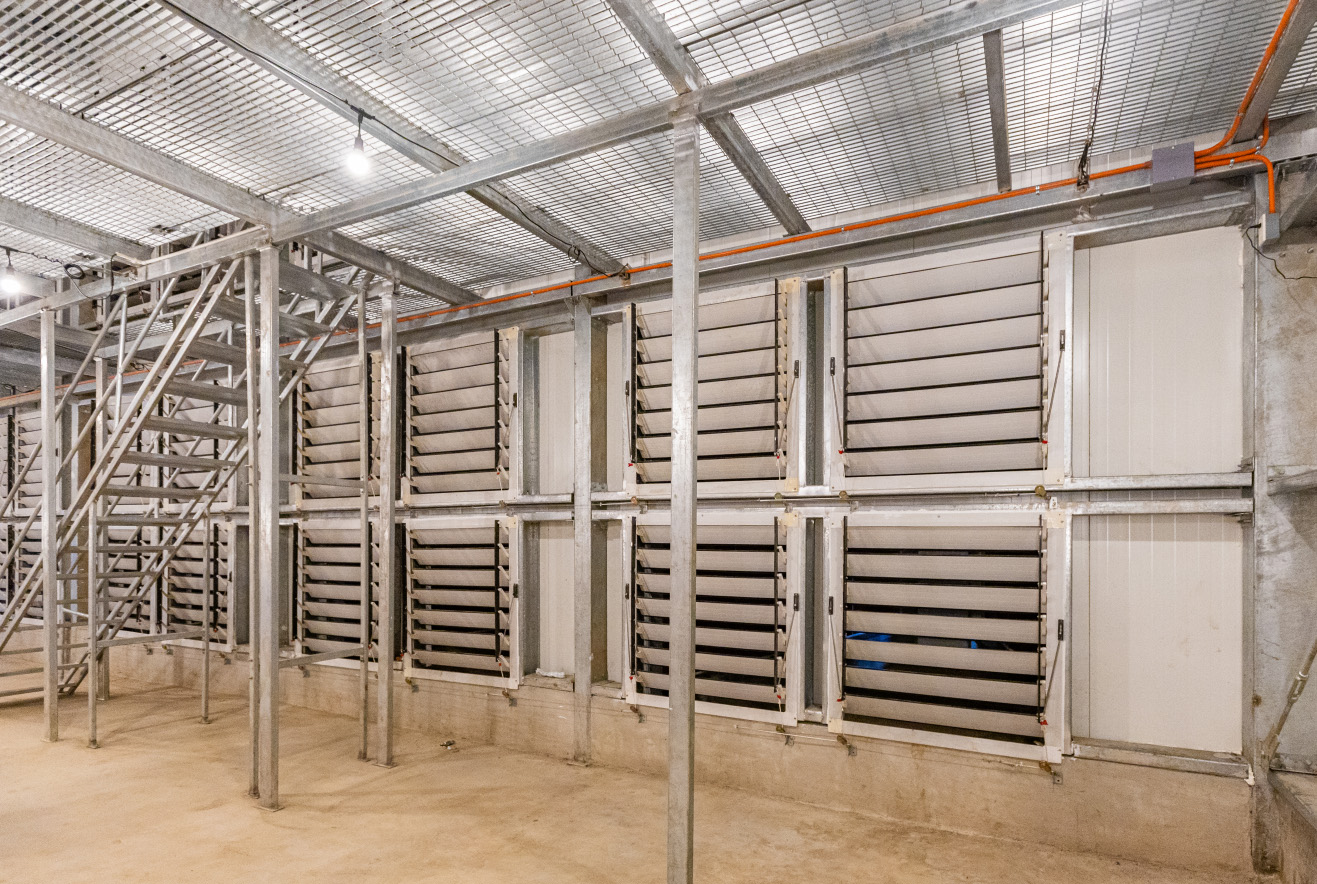 Philippine Layer Cage Farming Project