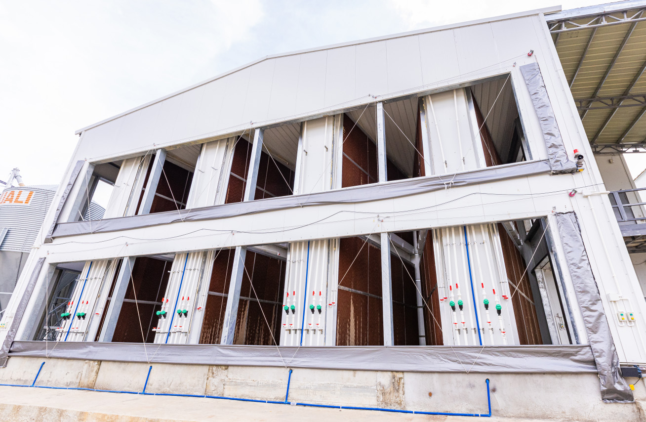 Philippine Layer Cage Farming Project