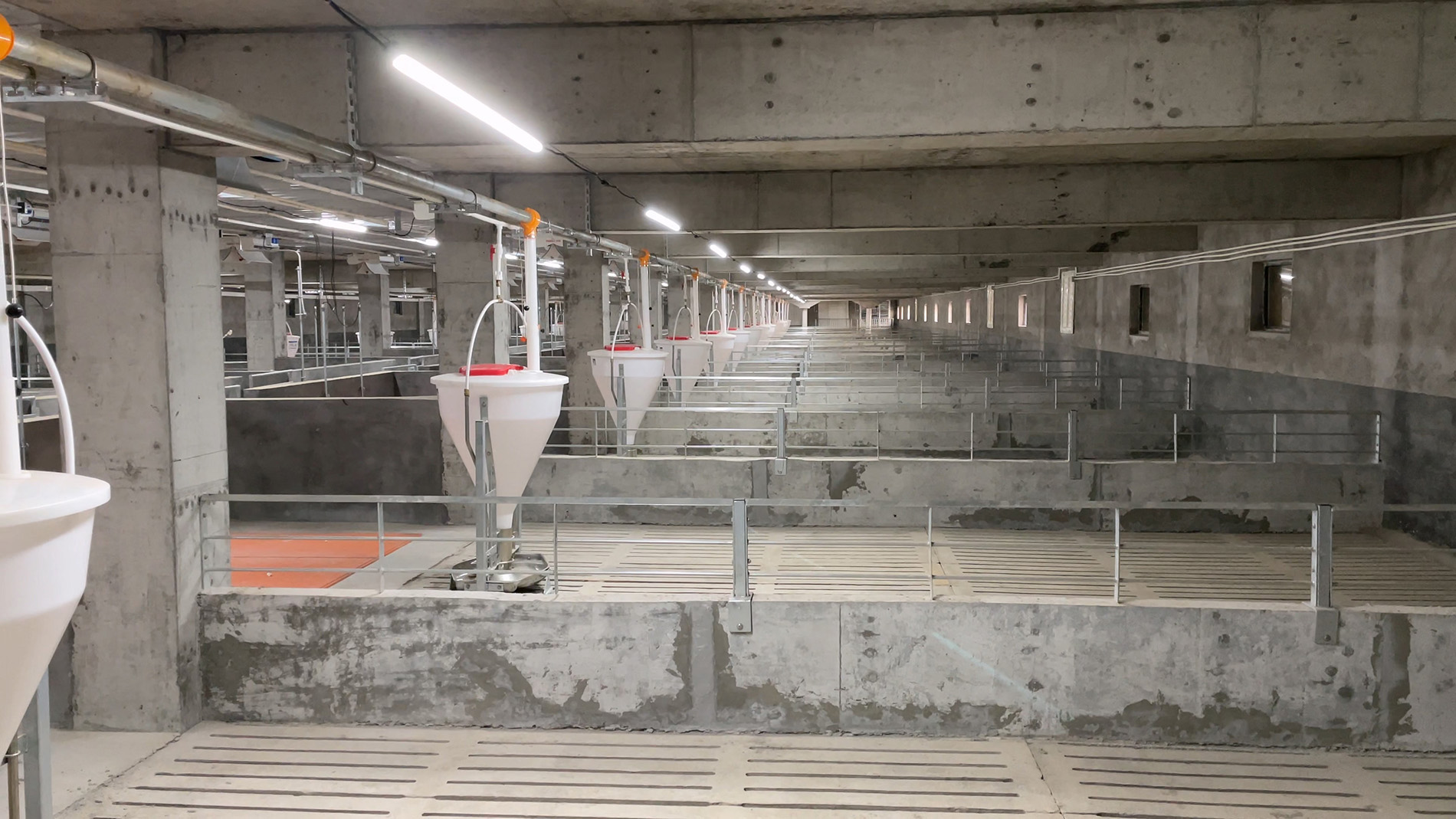 Tangrenshen 500,000-head Pig Farming Project