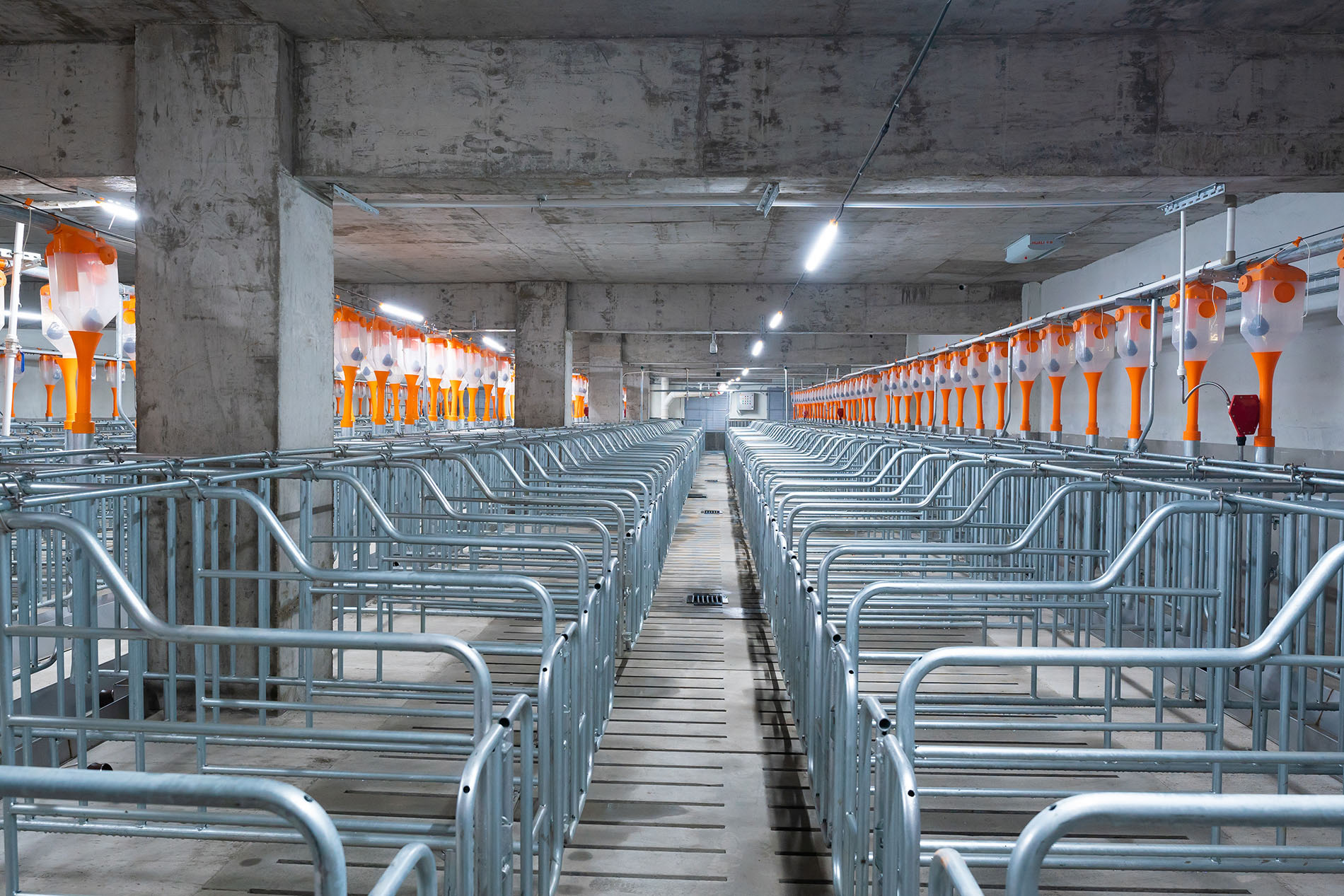 Aonong 10,000 Sows Farm EPC Projec