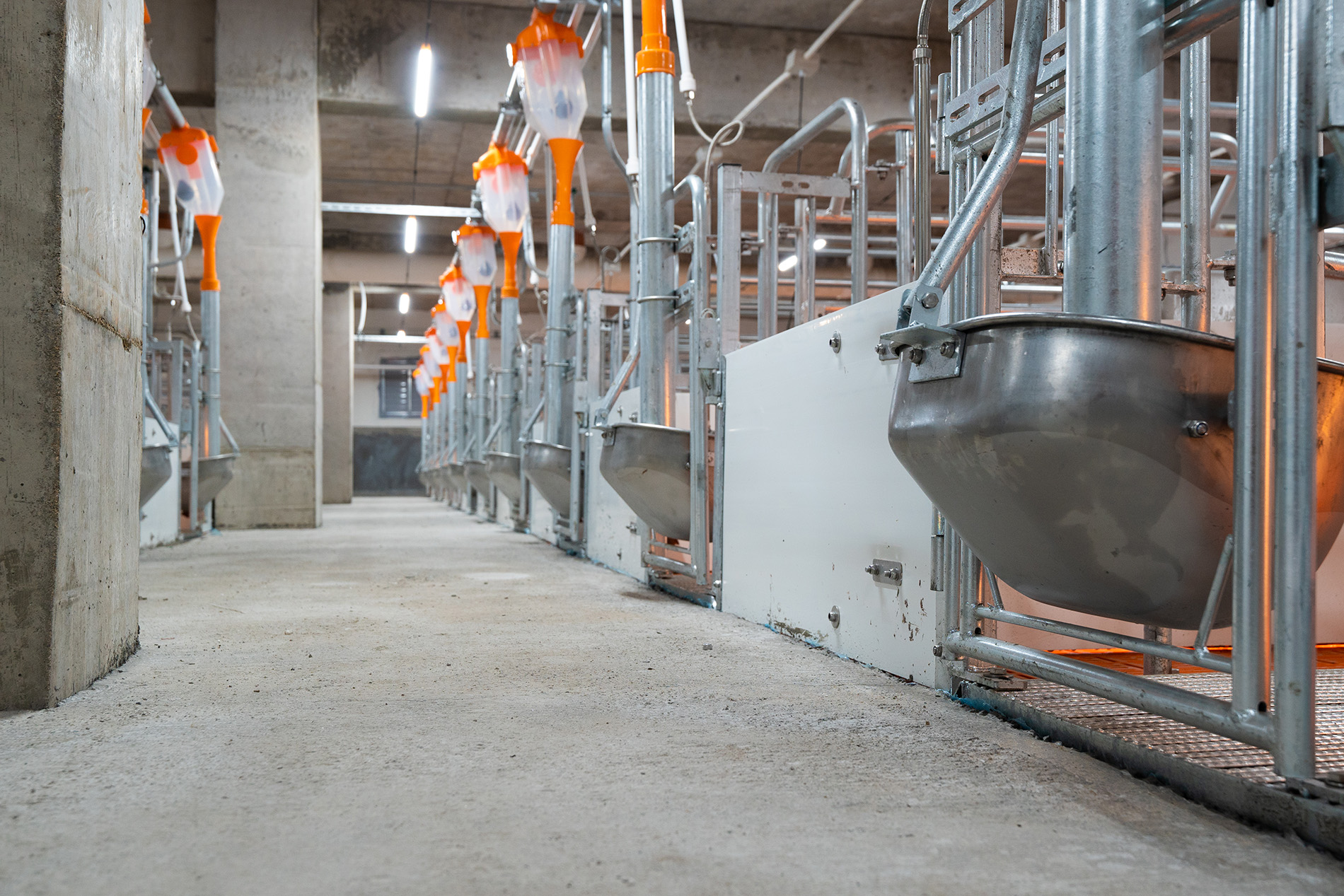 Aonong 10,000 Sows Farm EPC Projec