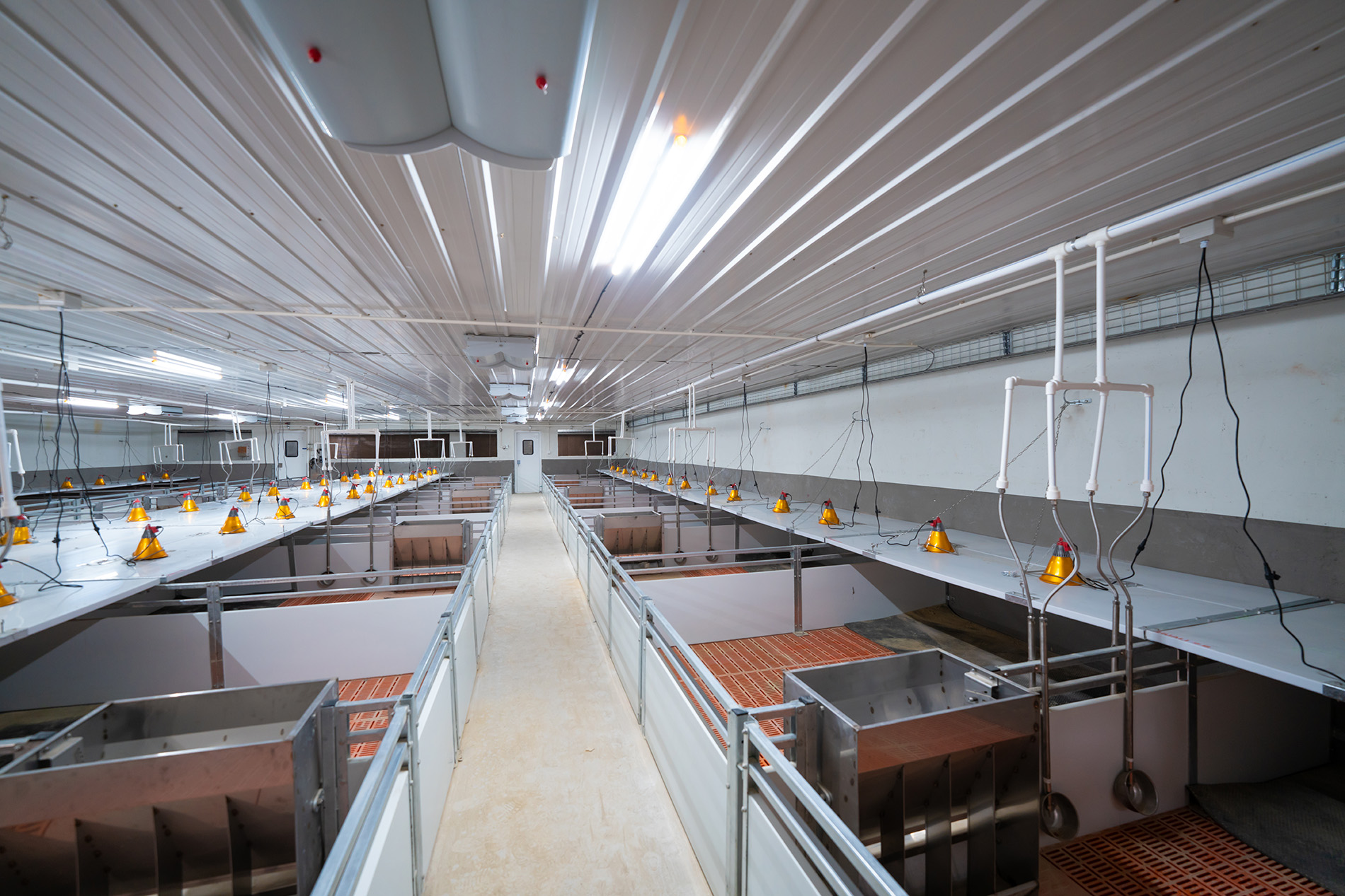 Aonong 10,000 Sows Farm EPC Projec
