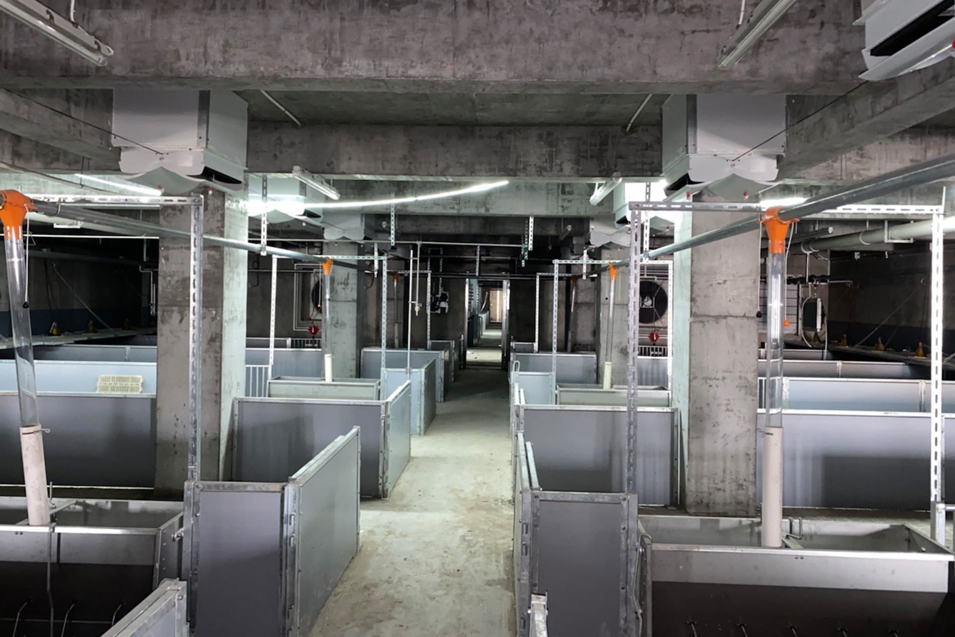 The Dekon Multi-storey Building Project