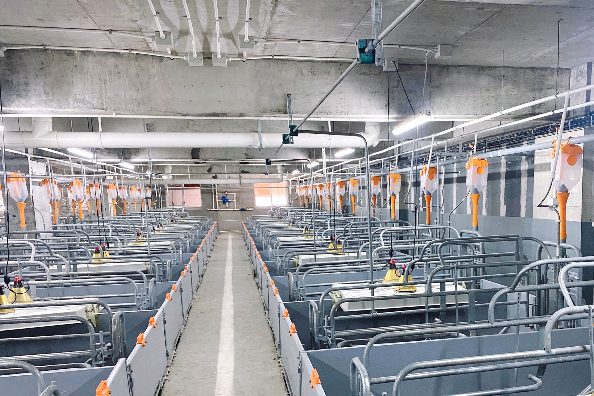 The Dekon Multi-storey Building Project