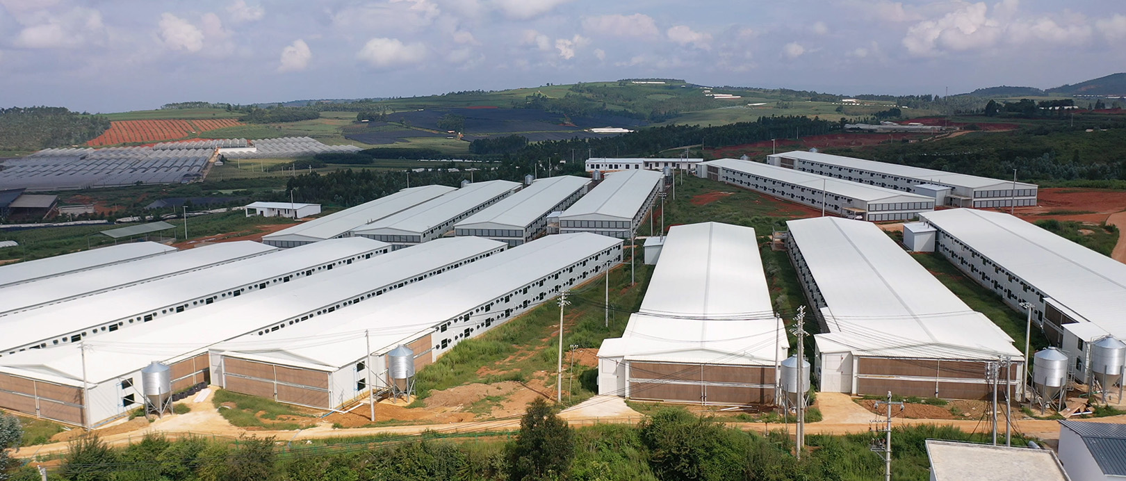 WENS Broiler Double-layer Floor Raising Project